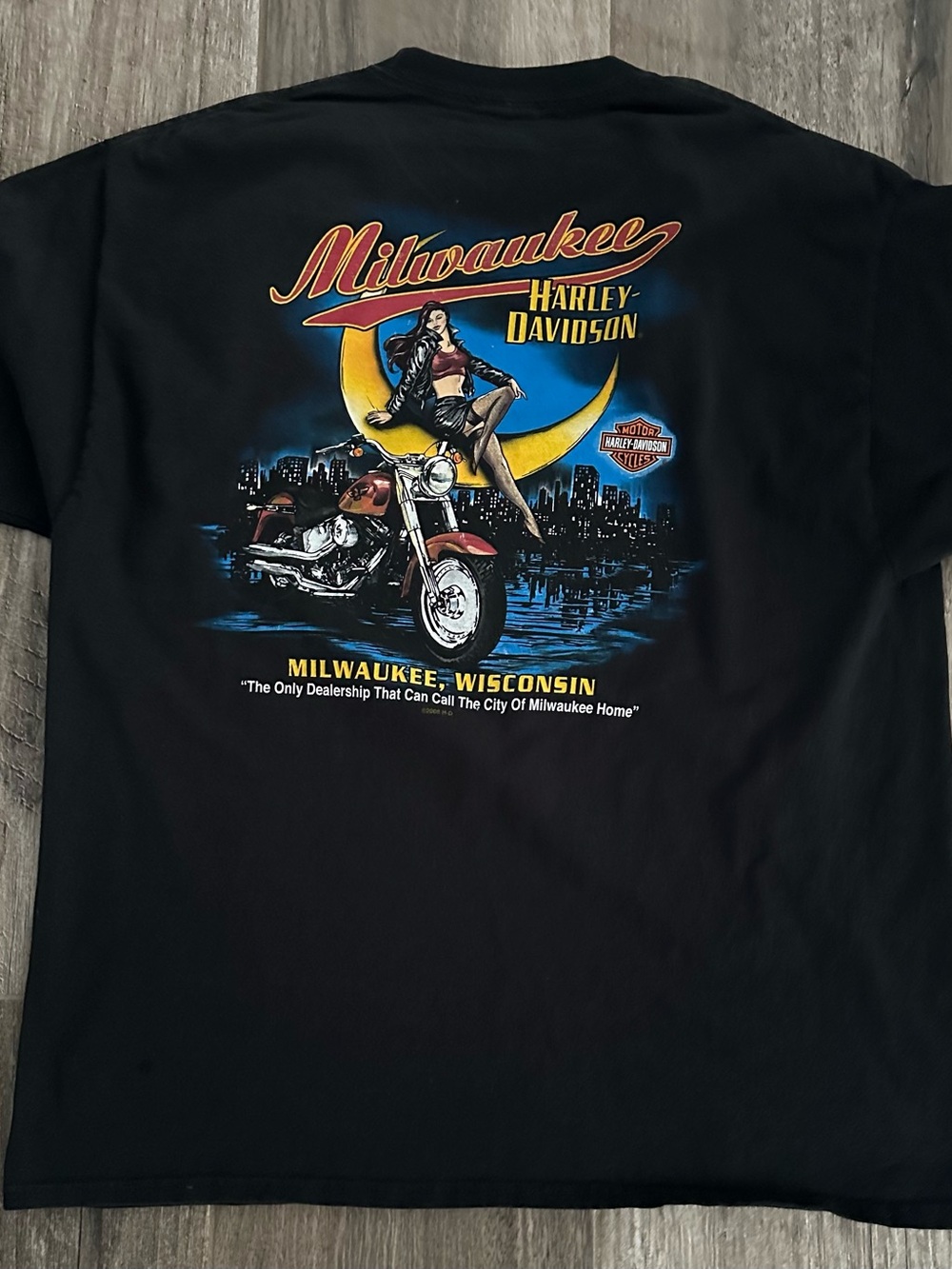 Harley-Davidson Milwaukee 110th Anniversary Black Graphic Tee - Picture 4 of 7
